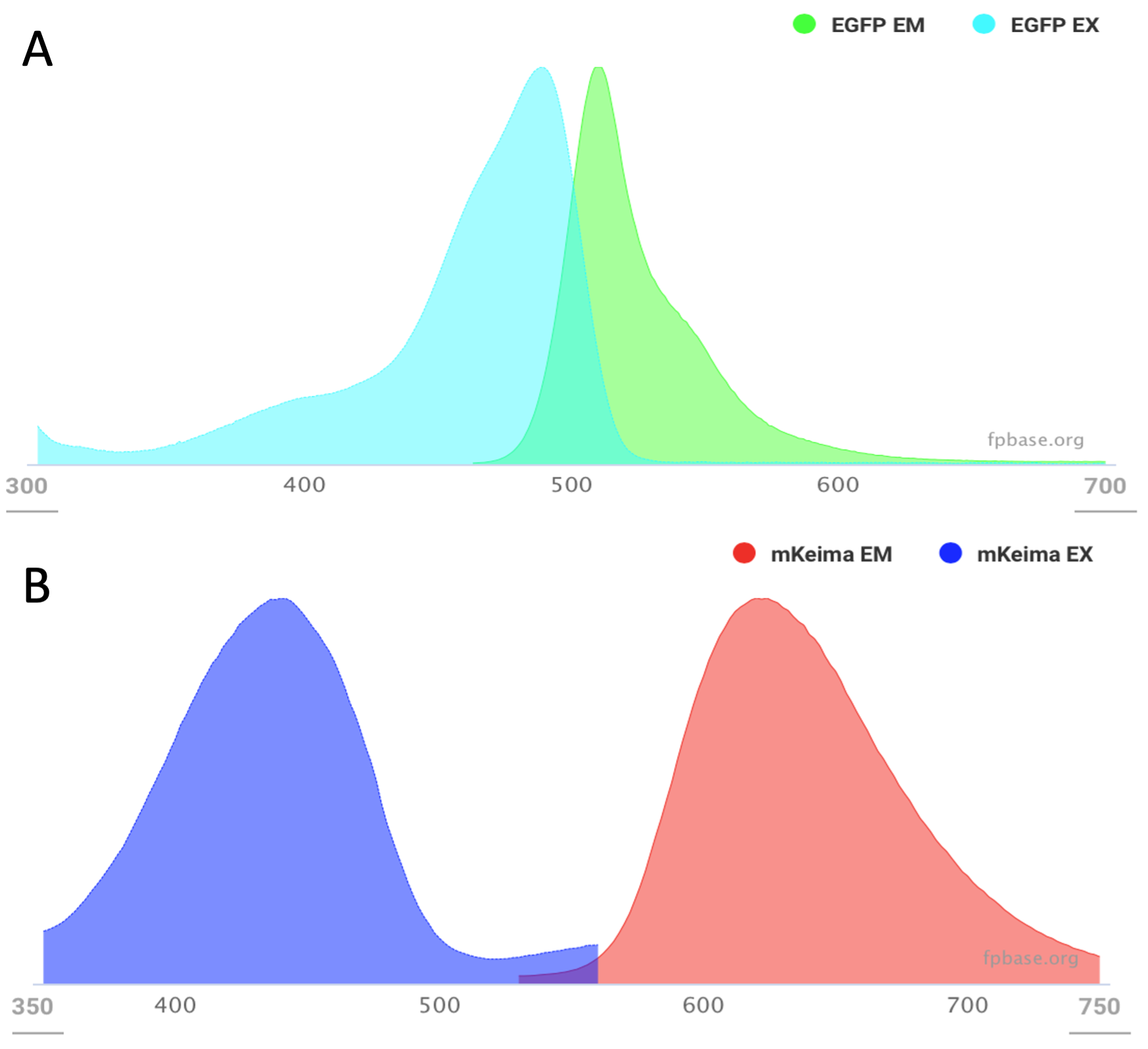 Quantitative Assessment Of Fluorescent Proteins At Callie Bell Blog