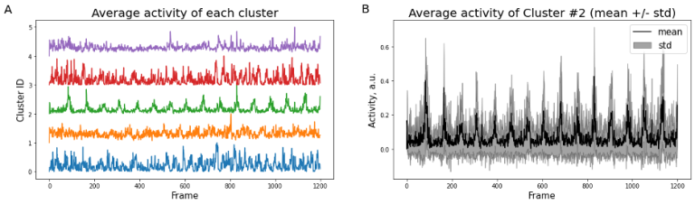 First Steps For Presentation And Analysis Of Calcium Imaging Data