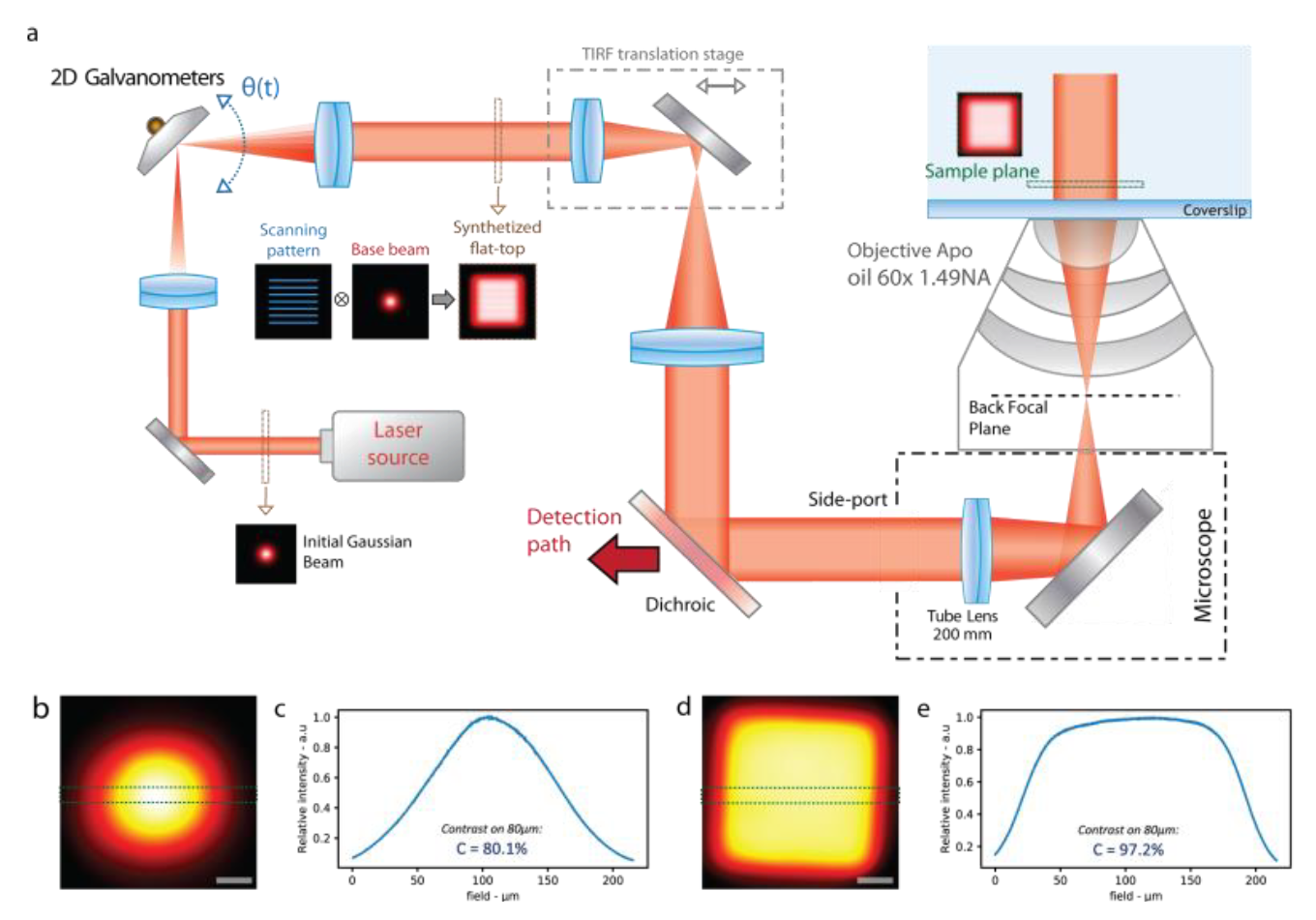 nanoscope analysis free download