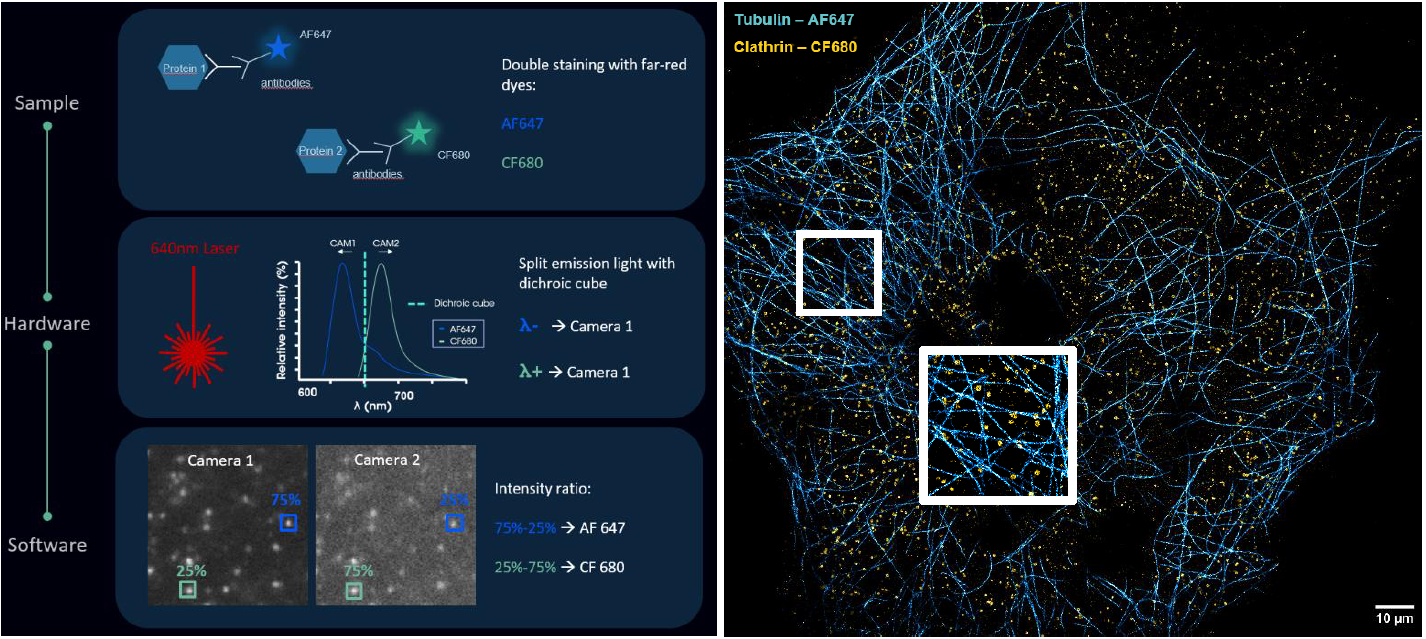 nanoscope analysis software download