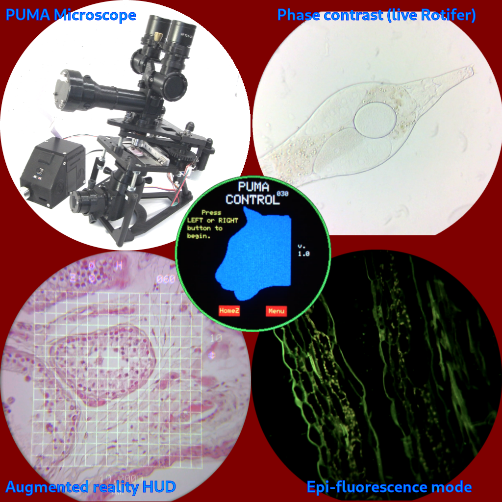 Examples of a PUMA microscopy system. Top left PUMA microscope with binocular head and augmented reality projector. Top right: Schlieren phase contrast of a live Rotifer. Bottom Left: One example of an AR overlay grid, Bottom Right: Epi-fluorescence of Ilex leaf histology section