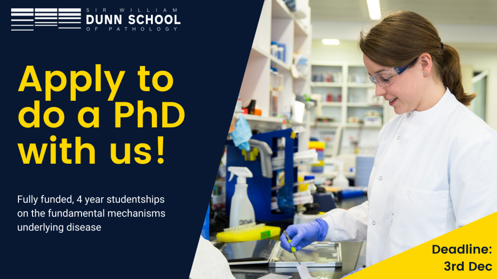 phd in stem cell biology in uk