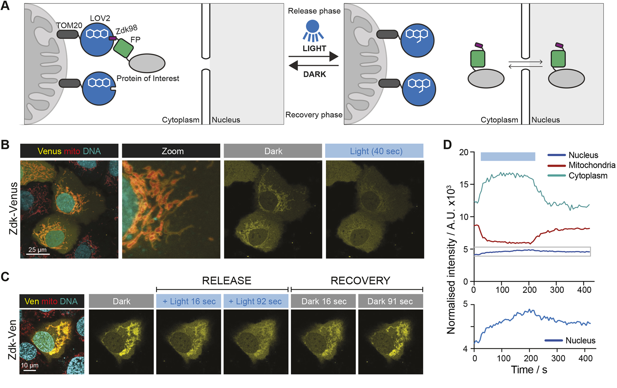 Microscopy Open Access Collection