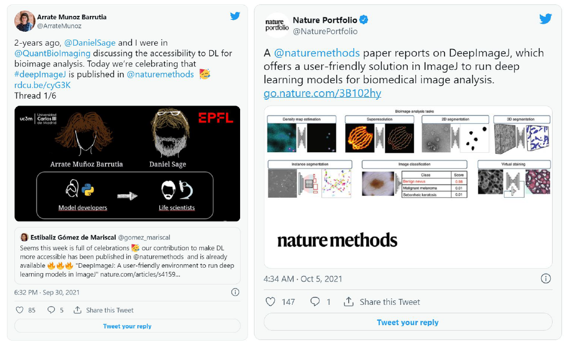 DeepImageJ: Deep Learning In Bioimage Analysis For Dummies