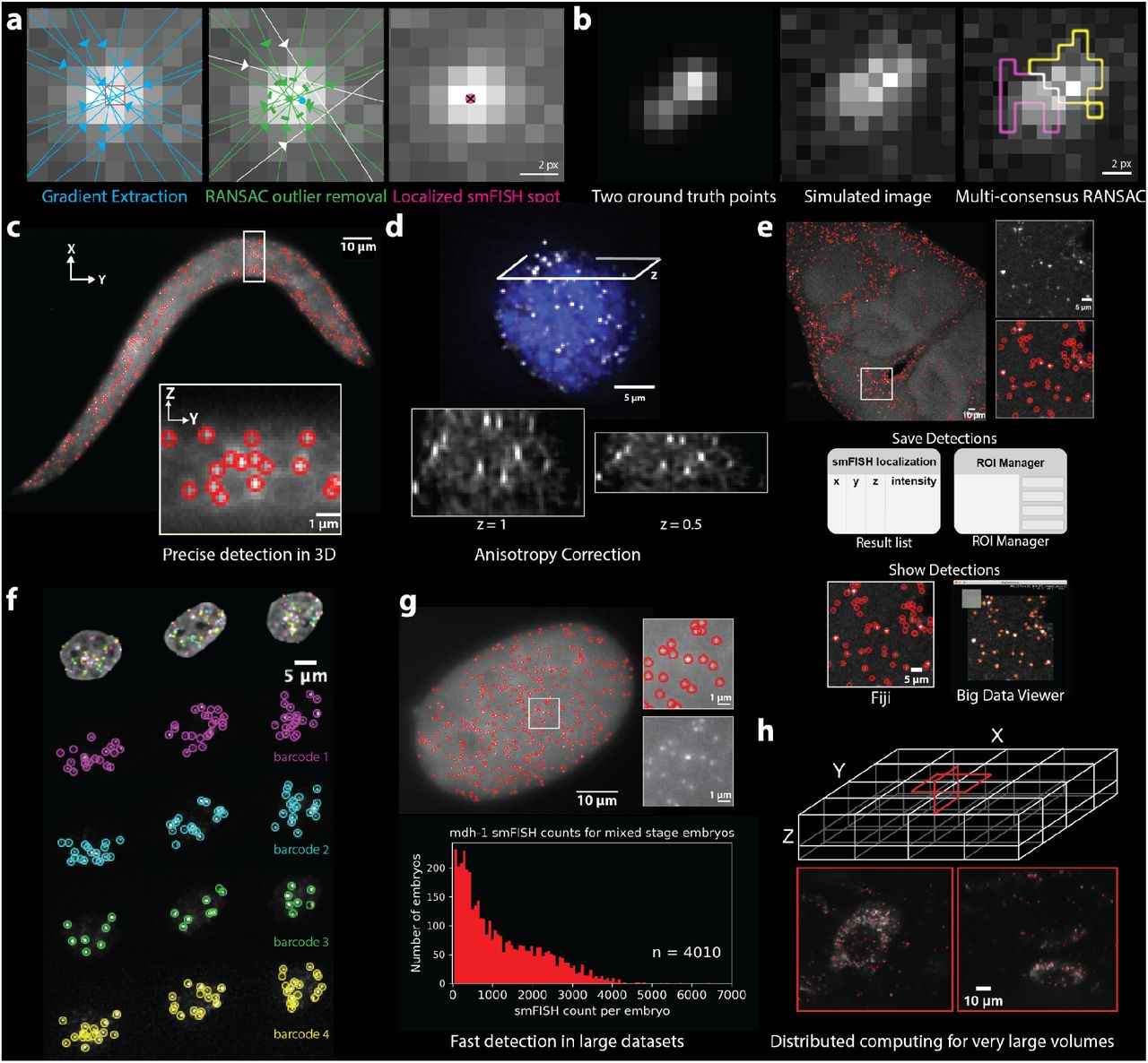 Microscopy Preprints - Bioimage Analysis Tools