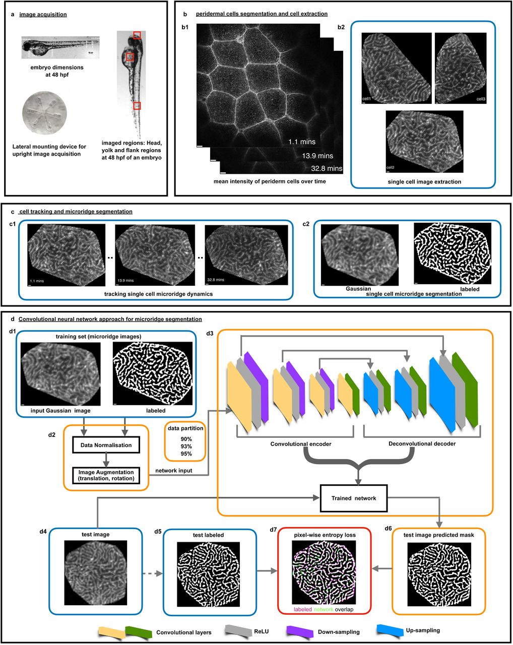 Microscopy preprints - Bioimage analysis tools - FocalPlane
