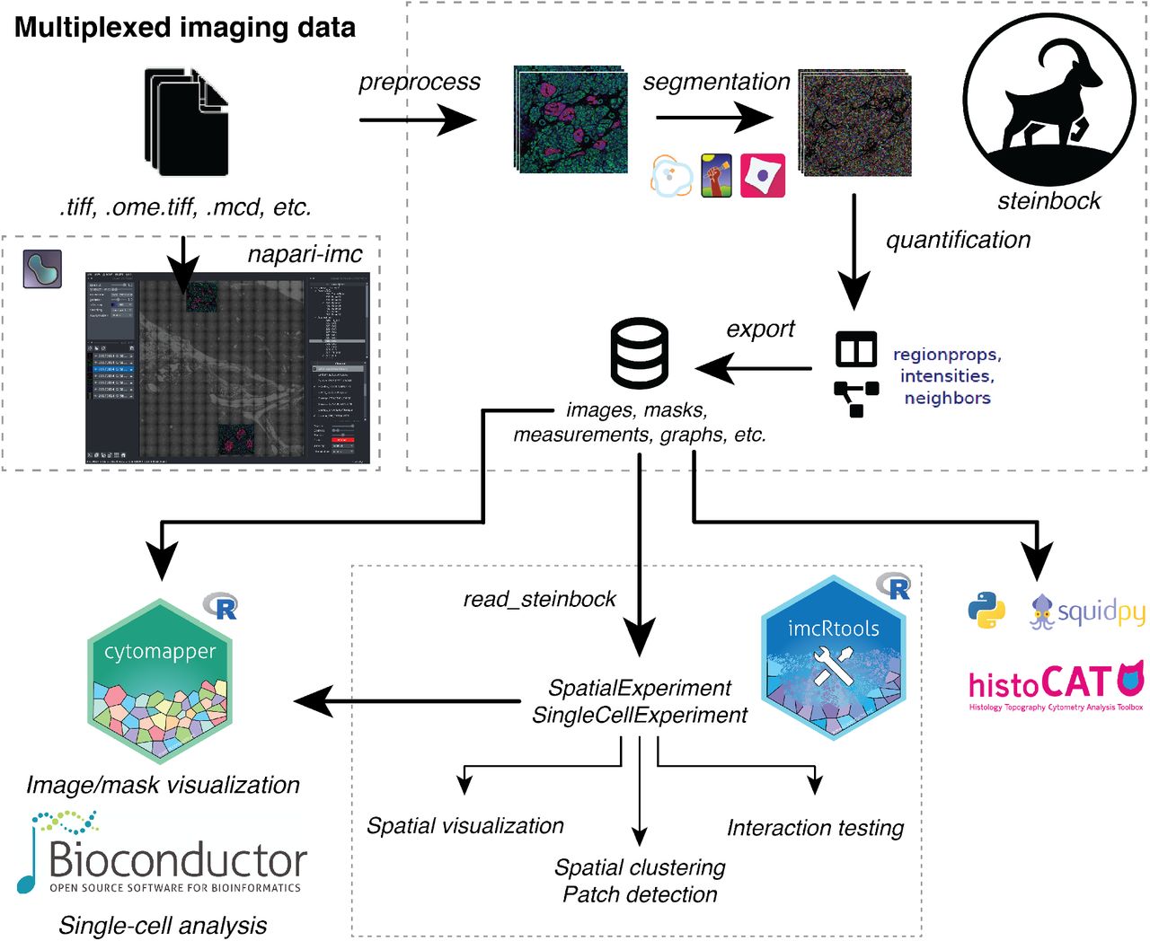 Microscopy preprints - Bioimage analysis tools - FocalPlane
