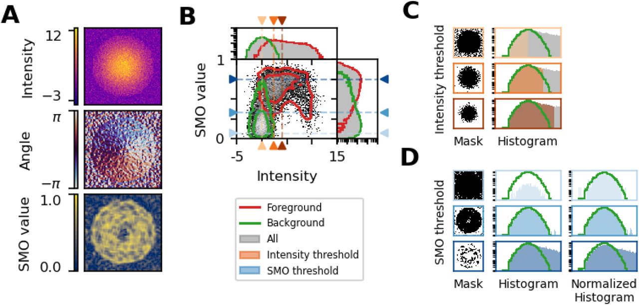 Microscopy Preprints - Bioimage Analysis Tools - FocalPlane