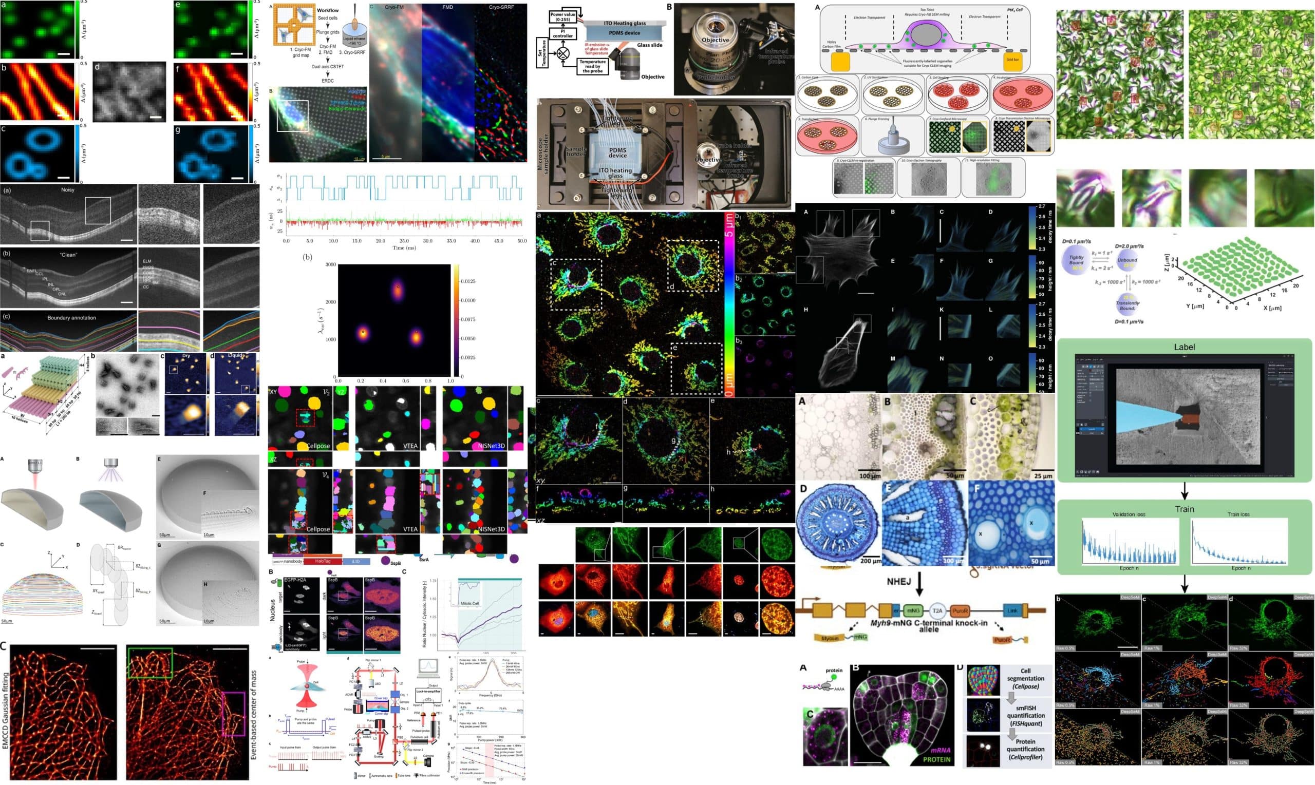 Microscopy Preprints – New Tools And Techniques In Imaging And Bioimage ...