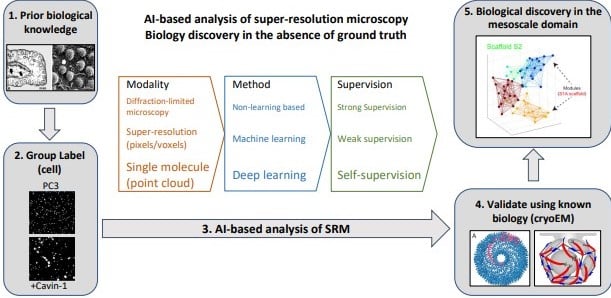 Workflow for AI-based analysis of SRM