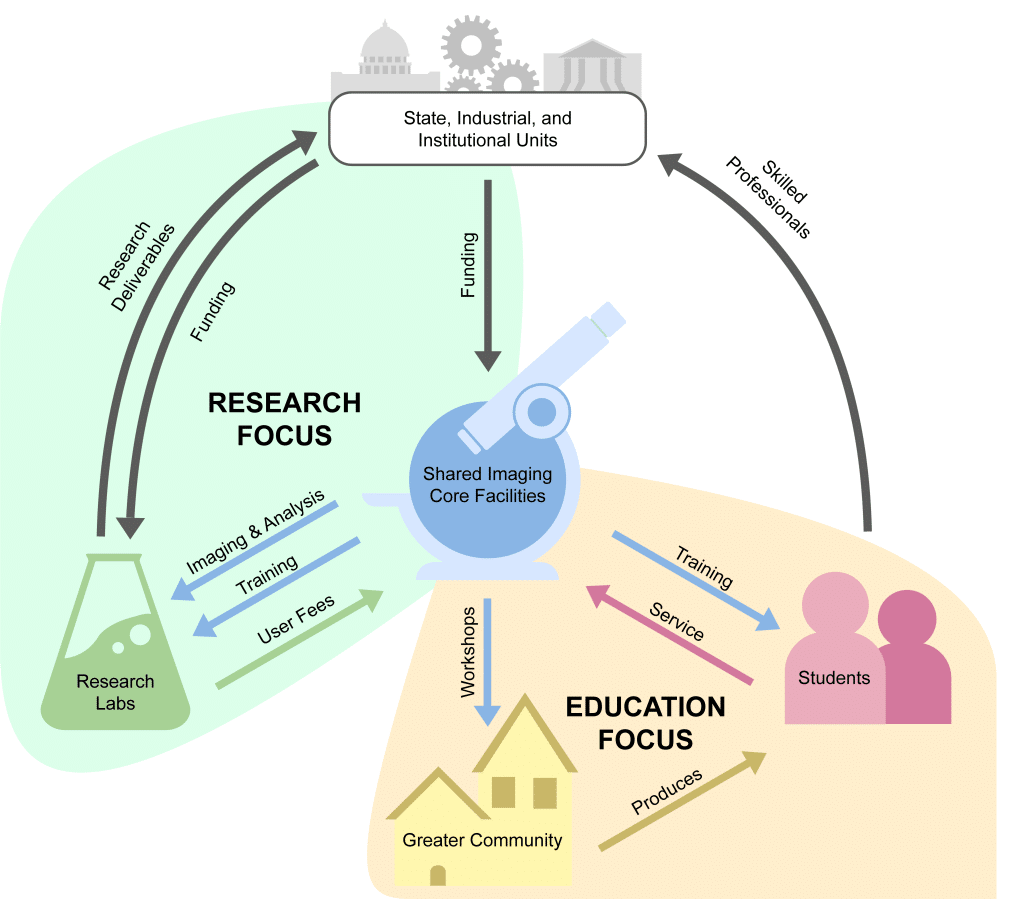 Influences and outcomes of education strategies on different groups