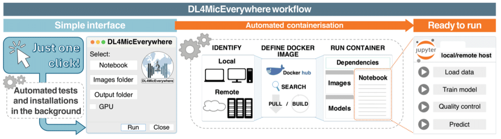 DL4MicEverywhere worflow