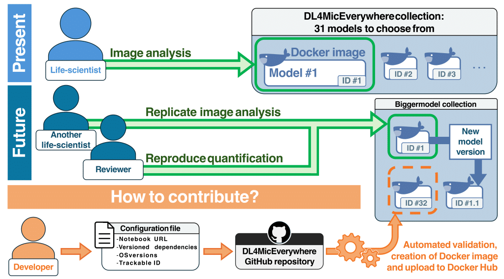 DL4MicEverywhere use cases