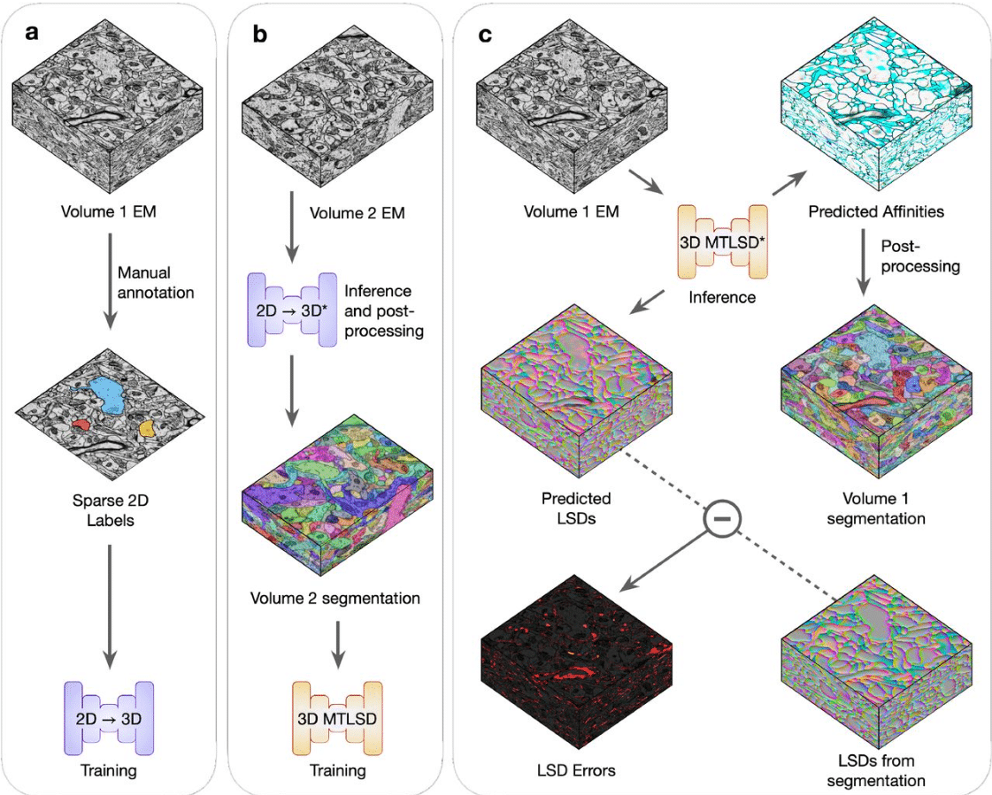 Microscopy preprints - bioimage analysis - FocalPlane