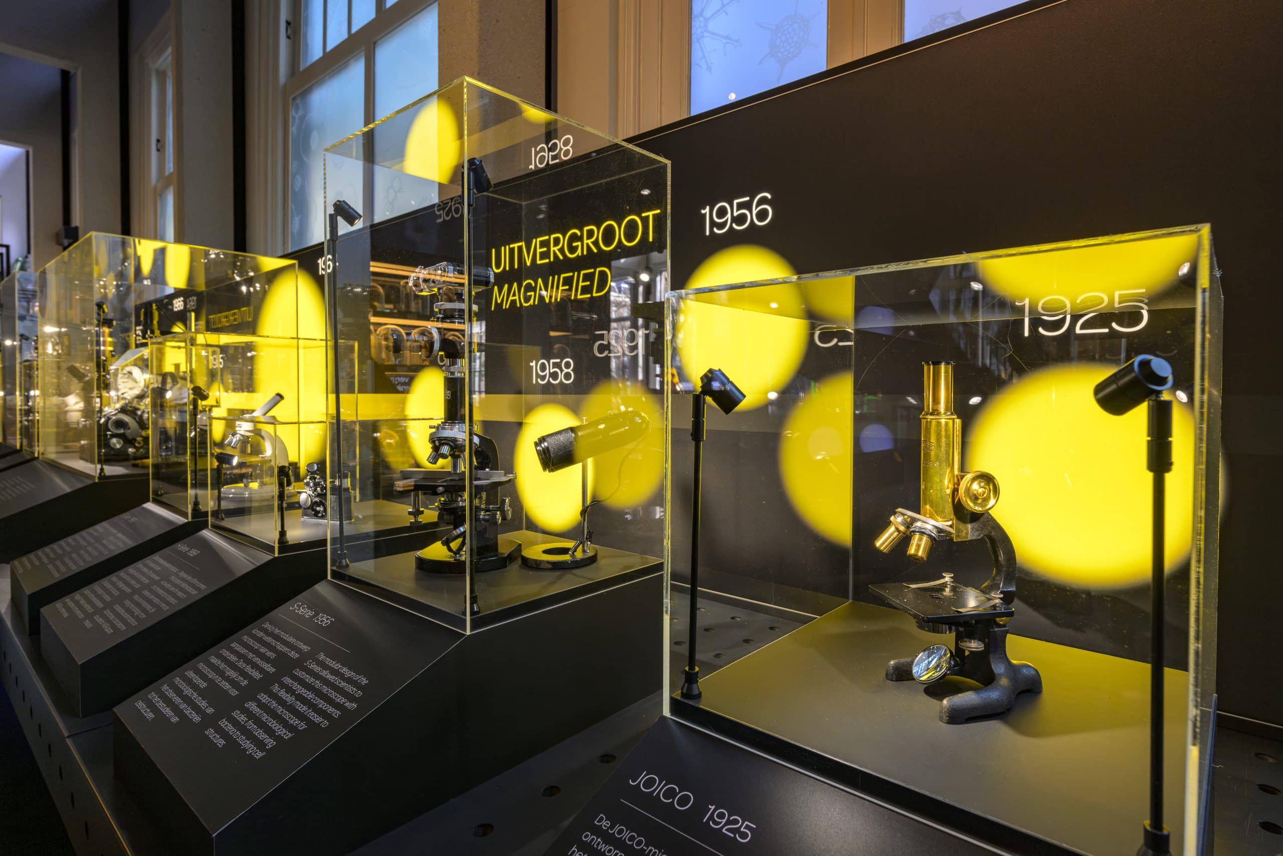 Celebrating a Century of Innovation: Nikon Microscope Solution's
