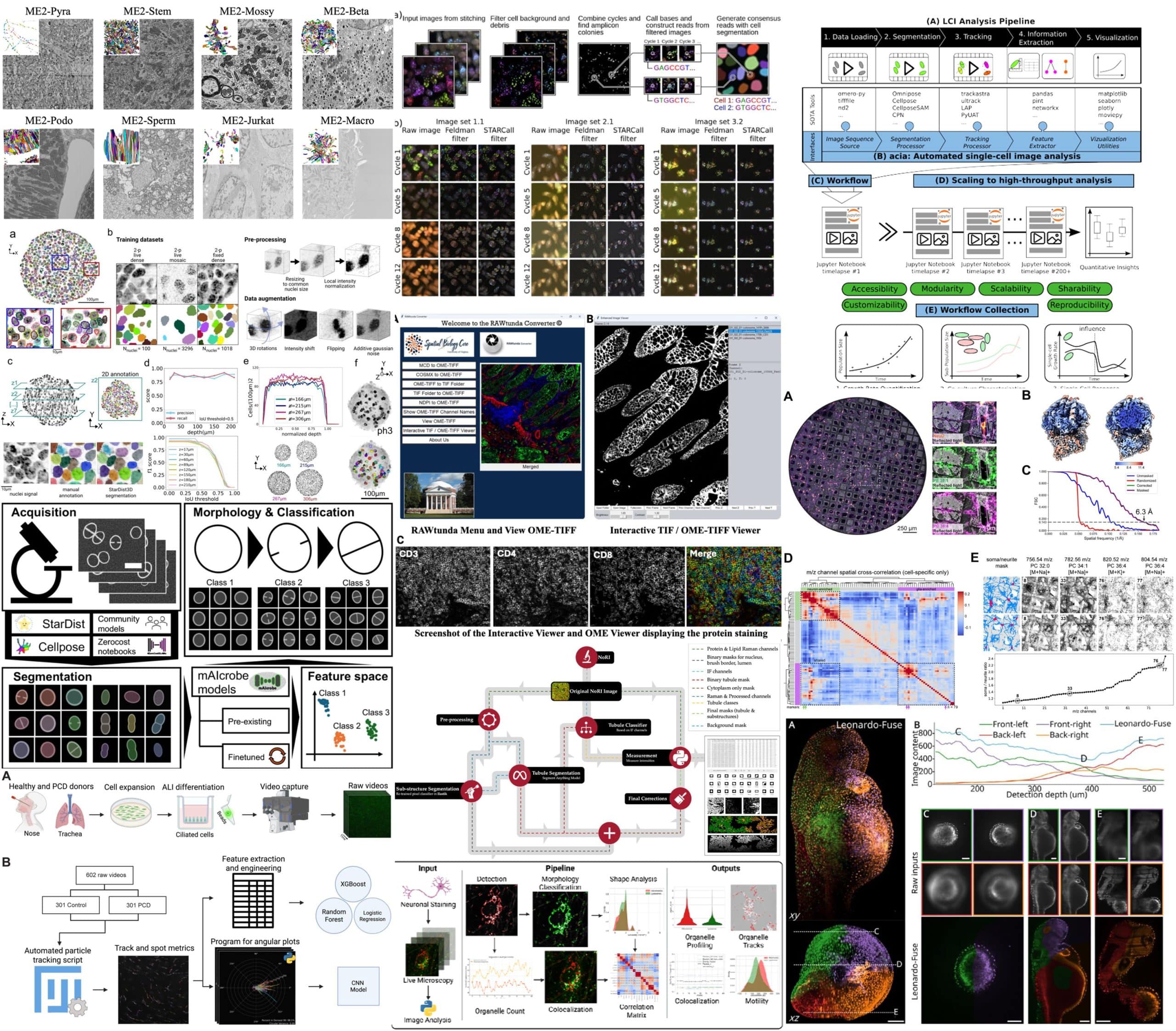 Microscopy preprints – bioimage analysis - FocalPlane
