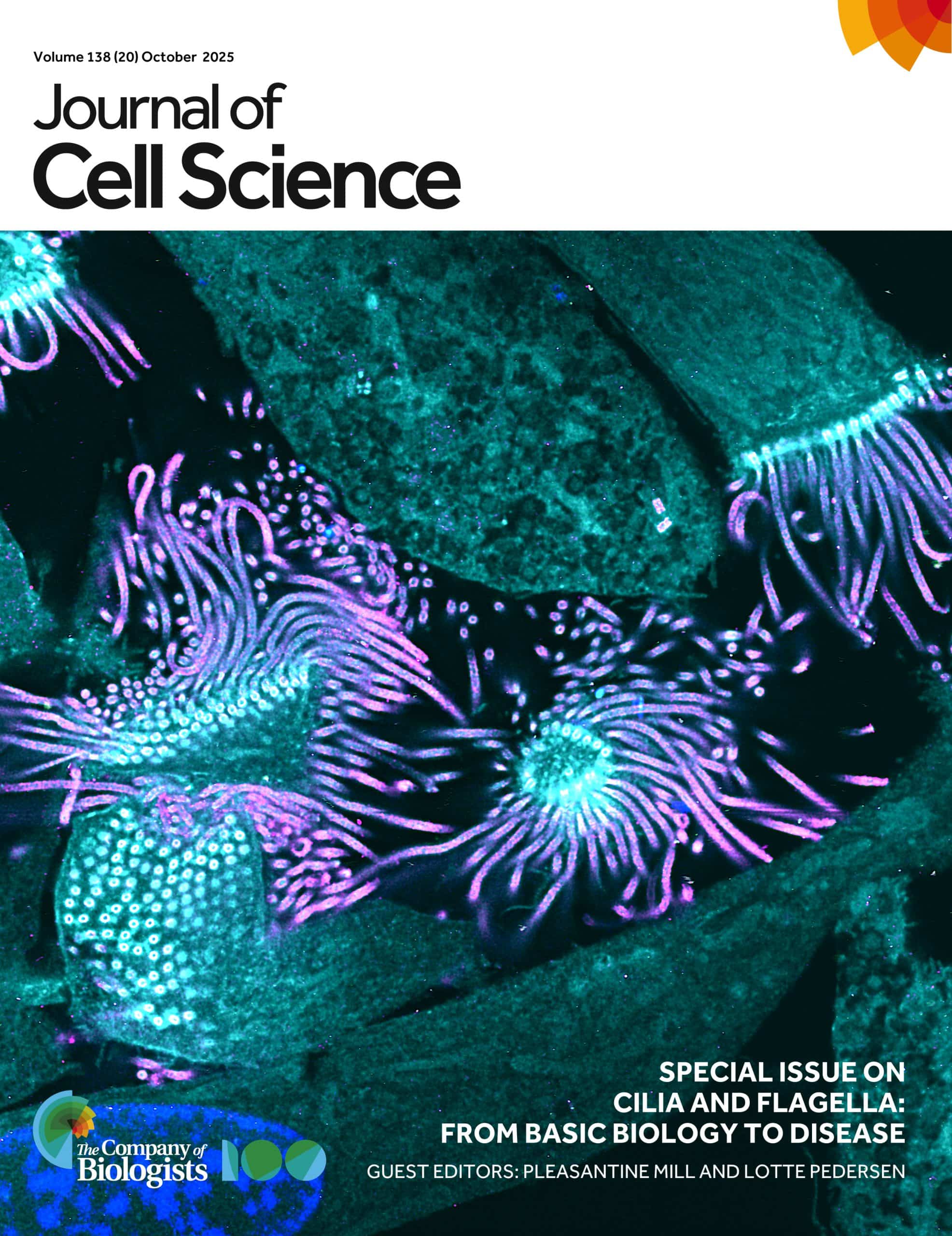 JCS snapshots: the cilia and flagella edition - FocalPlane