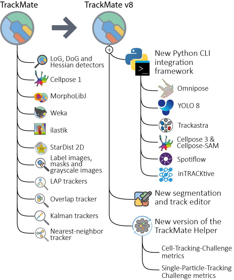 TrackMate 8 novelties