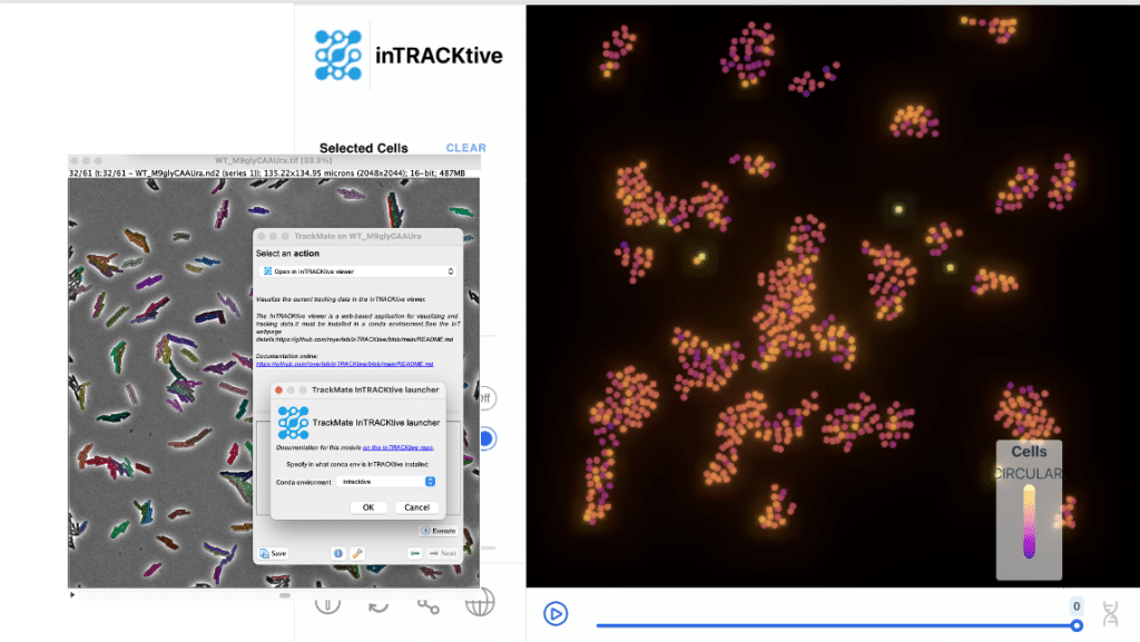 inTRACKtive viewer showing bacteria colonies, colored for their circularity