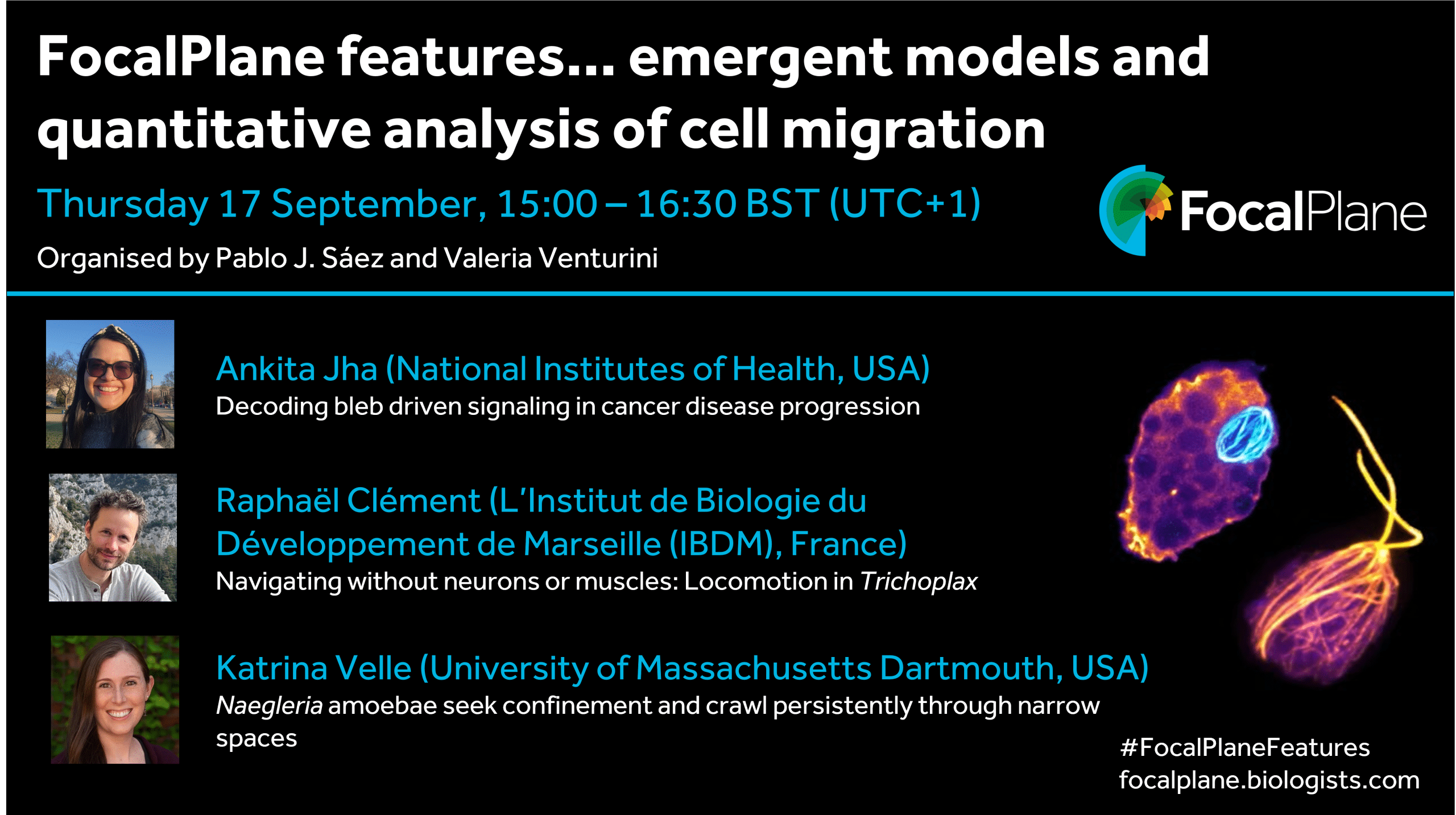 FocalPlane features... emergent models and quantitative analysis of cell migration
Thursday 17 September, 15:00-16:30 BST (UTC+1) 
Organised by Organised by Pablo J. Sáez and Valeria Venturini
FocalPlane logo
Picture of Ankita Jha (National Institutes of Health, USA)
Decoding bleb driven signaling in cancer disease progression
Picture of Raphaël Clément (L’Institut de Biologie du Développement de Marseille (IBDM), France)
Navigating without neurons or muscles: Locomotion in Trichoplax
Picture of Katrina Velle (University of Massachusetts Dartmouth, USA)
Naegleria amoebae seek confinement and crawl persistently through narrow spaces
#FocalPlaneFeatures
focalplane.biologists.com
Image of Naegleria.