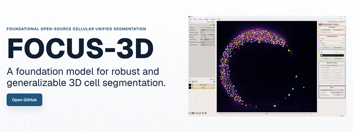 Screenshot of the FOCUS-3D website.
Foundational Open-source Cellular Unified Segmentation
FOCUS-3D
A foundation model for robust and generalizable 3D cell segmentation.
Open GitHub
Image of the tool with an image of a zebrafish embryo with nuclei segmented in different colours